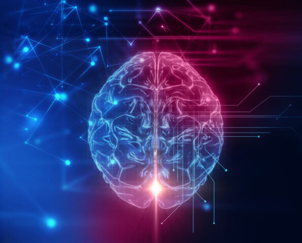 blue and red 3d rendering of human brain on technology background