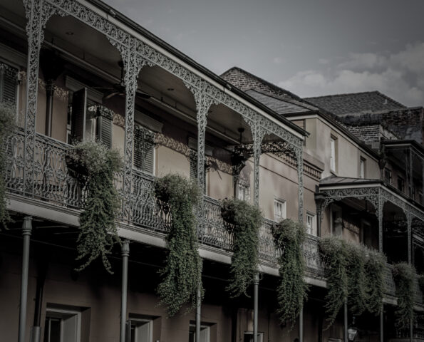 A black and white image of balconies in the French Quarter of New Orleans with plants hanging off of them.